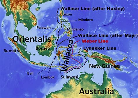 Wallacea Biodiversity Hotspot - WorldAtlas