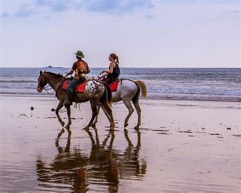 Sunset Horseback Riding