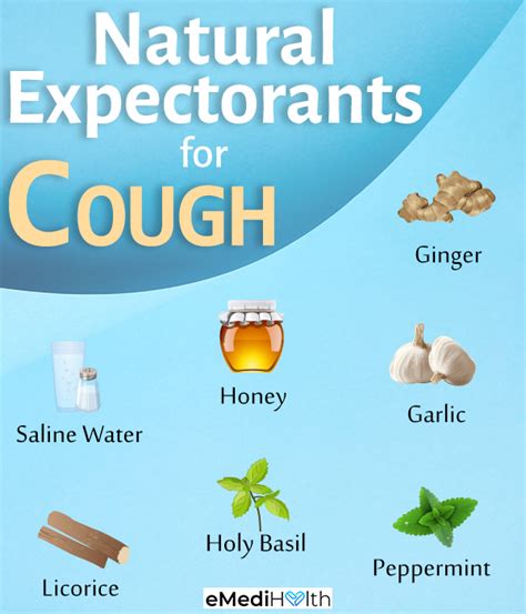 7 Natural Expectorants to Relieve a Cough - eMediHealth