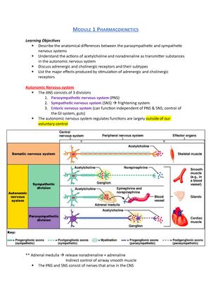 Mechanism OF Action OF Organophosphates - MECHANISM OF ACTION OF ...