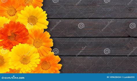 Beautiful Floral Vintage Wallpaper Stock Photo - Image of backgrounds, medical: 109628434