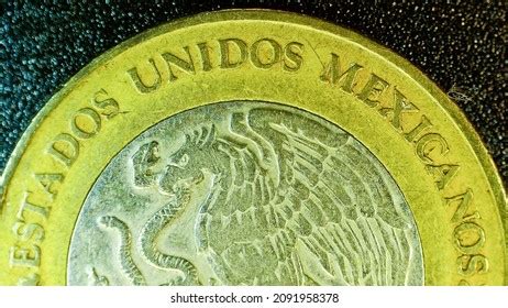 232 Mexican Golden Eagle Images, Stock Photos, and Vectors | Shutterstock