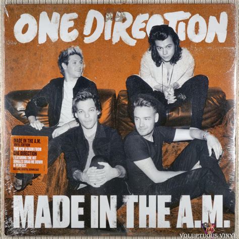 One Direction ‎– Made In The A.M. (2015) 2 × Vinyl, LP, Album – Voluptuous Vinyl Records