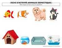 Les Animaux Domestiques 3eme Année Primaire - Diamond Hand