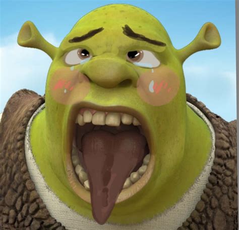 [100+] Lustige Bilder Von Shrek | Wallpapers.com