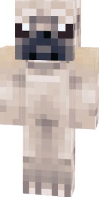 pug skin | Nova Skin