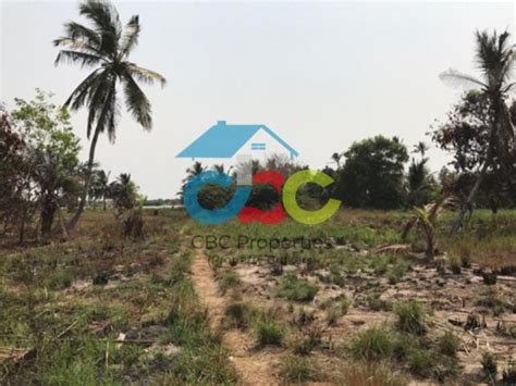 For Sale: Beach Side Land, Ada Foah, Ada East, Accra | Ghana Property ...