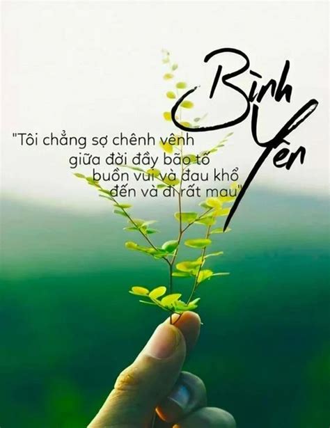 #199 Caption, stt cuộc sống bình yên giúp tâm thanh tịnh