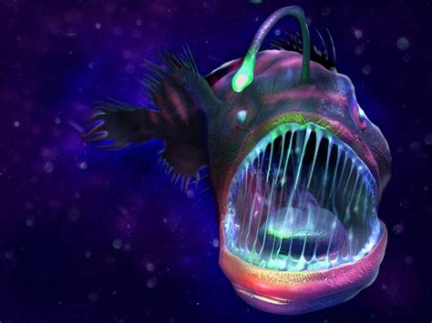 The deep sea dwelling Angler Fish | Bioluminescence | Pinterest