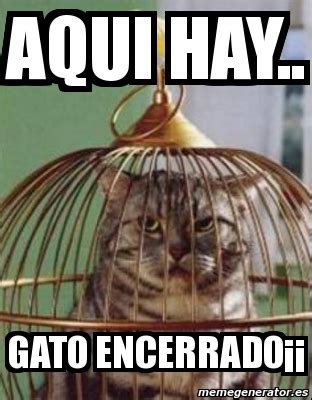 Meme Personalizado - aqui hay.. gato encerradoÂ¡Â¡ - 2553513