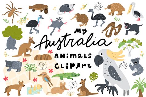 My Australia Animals Clipart By Ksenias Store | TheHungryJPEG