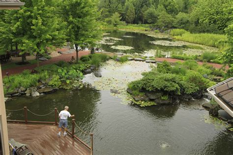 Aquascape Your Landscape: Aqua Terra: Home of The Pond Guy™