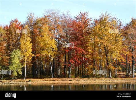 Fall colors in Southeast Michigan MI near Detroit Stock Photo - Alamy