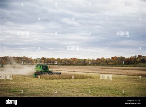 Tractor cutting grass on farm Stock Photo - Alamy