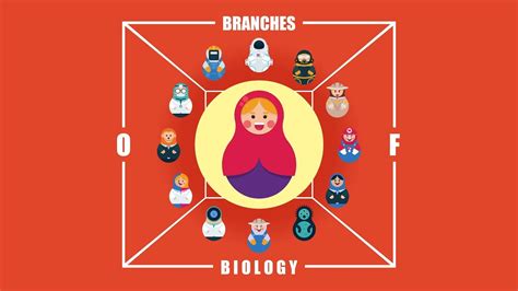 What are the Branches of Biology? - YouTube