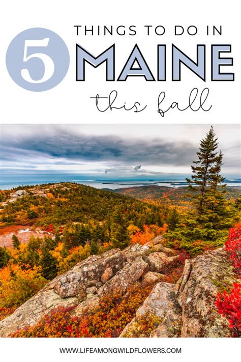 Things to do in Maine This Fall - Life Among Wildflowers | Maine in the fall, Maine vacation ...