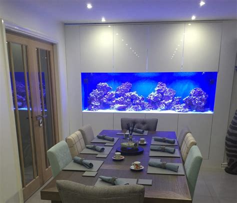 Custom In Wall Fish Tank Installed in Glossop - Oceanlife Aquatics | Wall aquarium, Fish tank ...