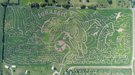 Chicago Corn Mazes To Get Lost In This Fall