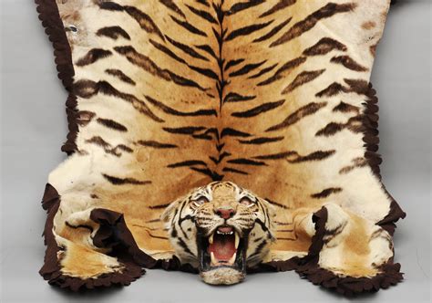 An early 20th century tiger skin rug, circa 1900, probably Van Ingen ...