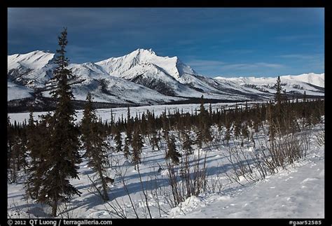 Picture/Photo: Winter landscape. Gates of the Arctic National Park