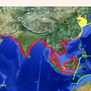 Hypothesized and confirmed distribution of Indo-Pacific Finless ...