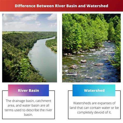 River Basin vs Watershed: Difference and Comparison