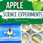 Apple Science Experiments