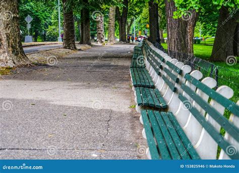 Central Park bench stock photo. Image of leaf, attractions - 153825946