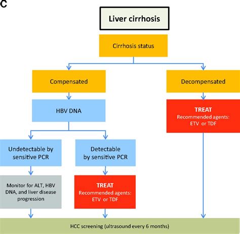 Aasld guidelines hepatitis b hcc screening 241658-Aasld guidelines hepatitis b hcc screening ...