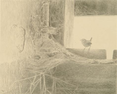 Silverpoint - drawing with silver - Toni Watts Art Studio