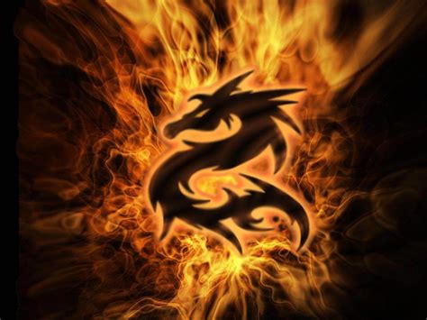 Cool Fire Dragon Wallpapers - Top Free Cool Fire Dragon Backgrounds - WallpaperAccess