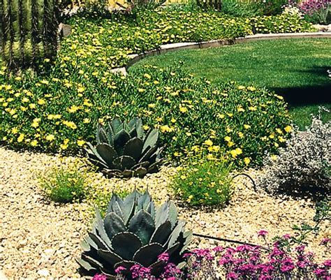 Stunning Xeriscape Landscapes in the Arizona Desert