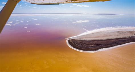 Lake Eyre transforms from parched desert to prosperous waterway