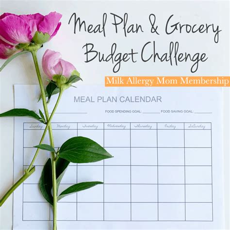 Member Challenge: Dinner Planning & Grocery Budget