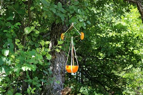 DIY Oriole Bird Feeder- EASY , FUN for Kids, BUDGET FRIENDLY