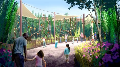 St. Louis Zoo will build more naturalistic habitat for monkeys, set to open in 2021 - Call ...