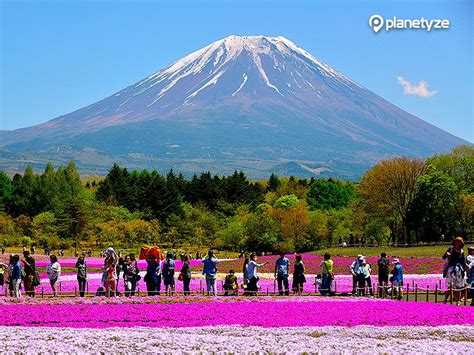 Top 20 things to do around Mount Fuji - :location Travel Guide ...