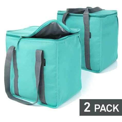 Top 10 Best Insulated Grocery Bags in 2021 Reviews