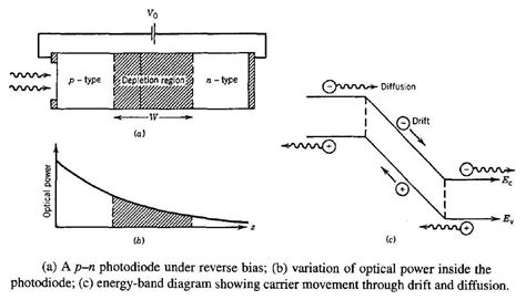 The difference between different types of photodetectors丨NEON