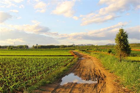 田园、小村庄、乡村、田埂、麦田|摄影|风光摄影|柠檬汁的故事 - 原创作品 - 站酷 (ZCOOL)