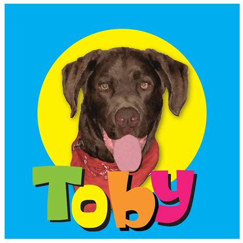 Team Toby- a dog with a blog on a kindness mission!: Are Dogs Healers?