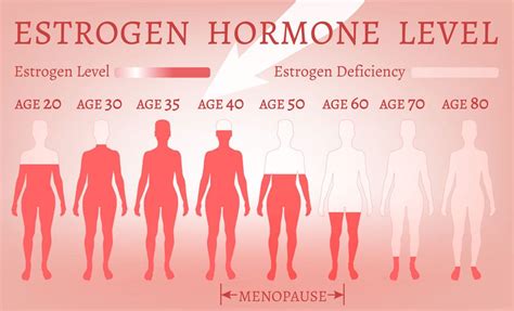 Why Is It So Common to Gain Belly Fat after Menopause?