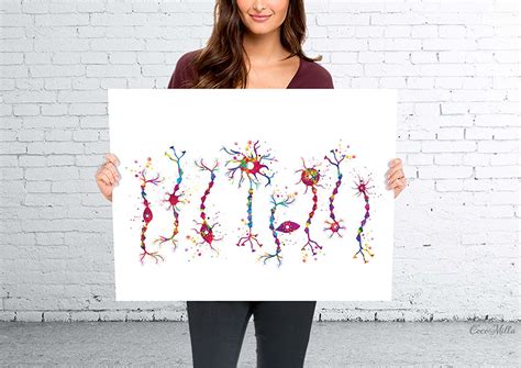 Neuron Types Art Watercolor Print Science Poster Neurology - Etsy