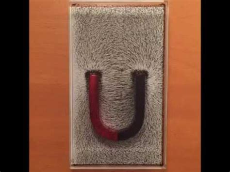 Magnetic field lines around a horseshoe magnet. - YouTube