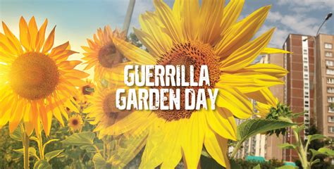 Guerrilla Gardening: All You Need To Know | Garden Culture Magazine