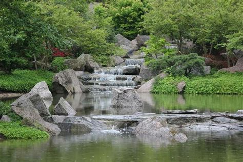 memorial Hermann park Japanese garden Houston TX | Backyard water ...