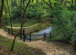 Buzzard Roost Spring - Natchez Trace - NatchezTraceTravel.com