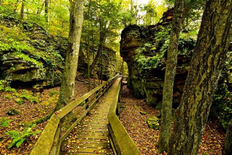 Beartown State Park - West Virginia State Parks - West Virginia State Parks