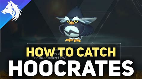 Where To Catch Hoocrates (Location, Stats & Habitat) Palworld - YouTube