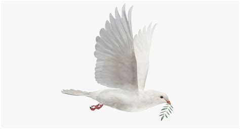 Dove flying animation 3D - TurboSquid 1349751